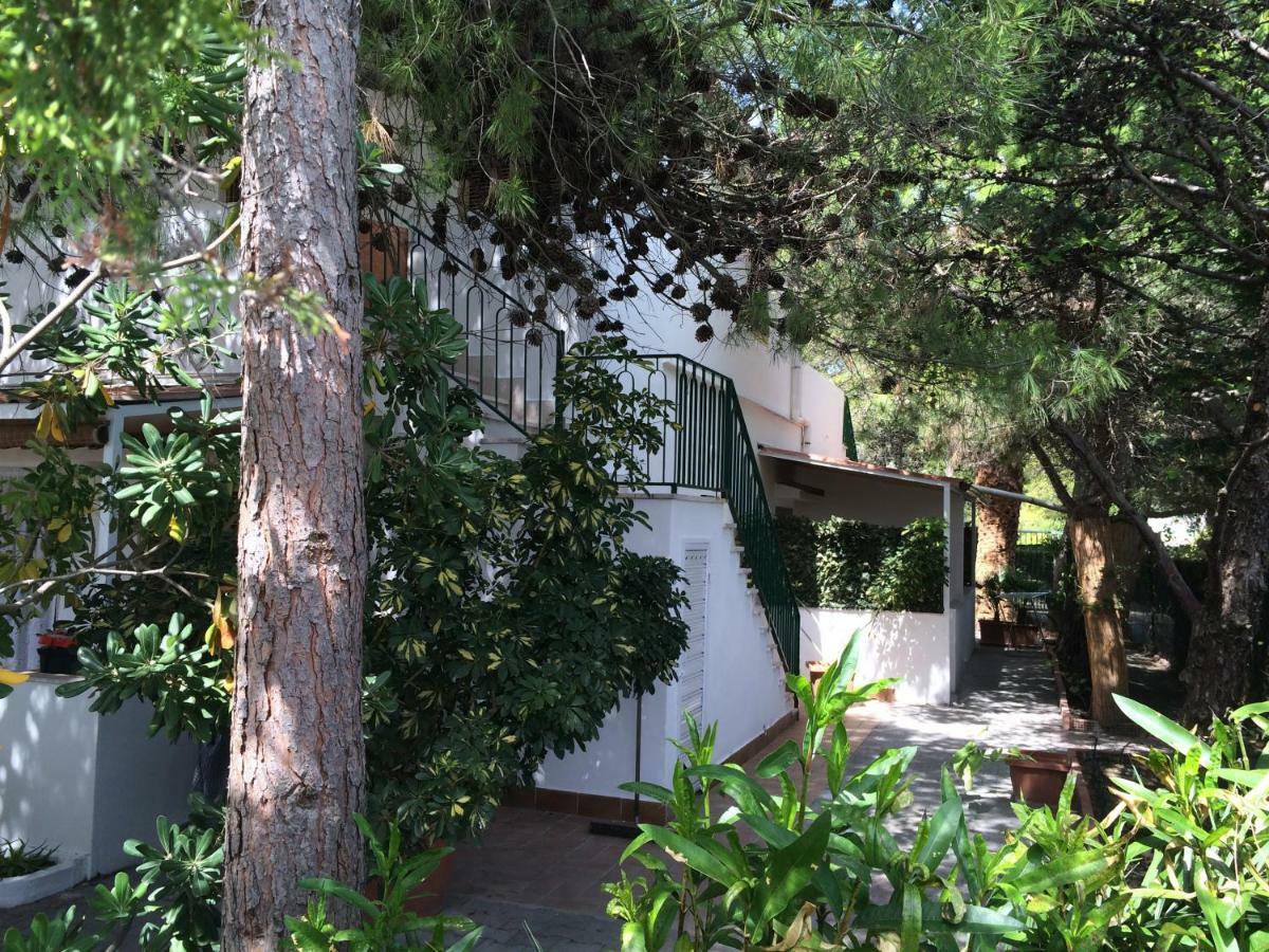 Villa Irene Vieste Exterior foto
